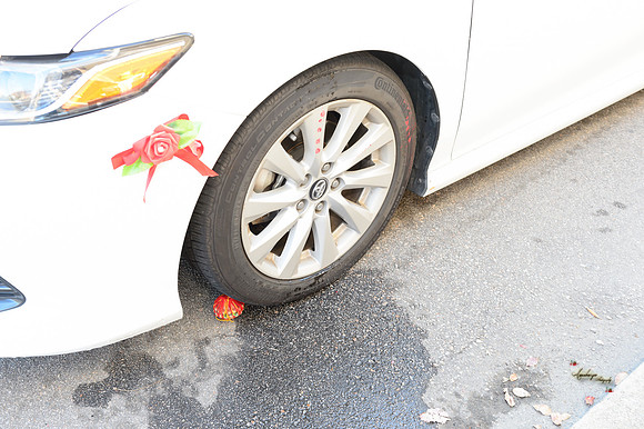 TPWD0398