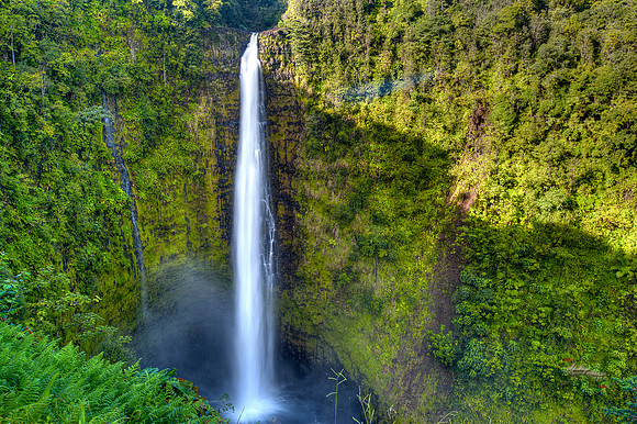 Akaka Falls_0472