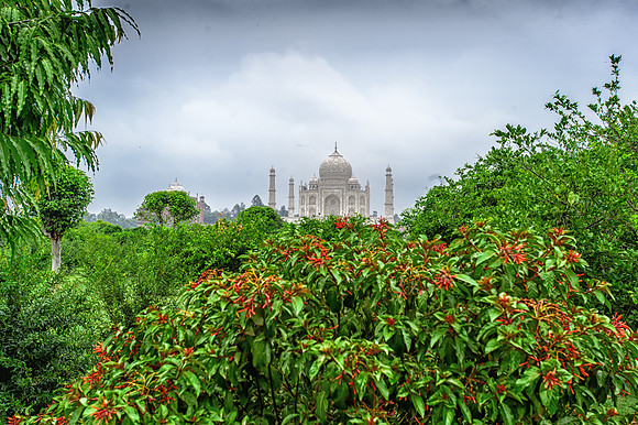 TAJ_0012-Edit