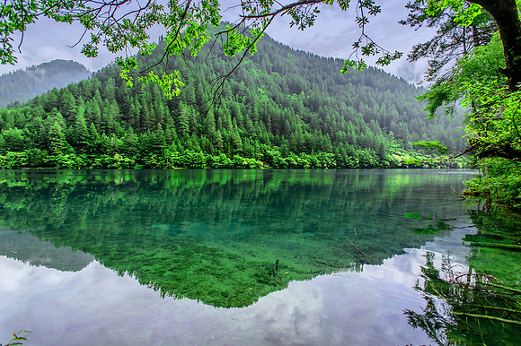 D4D_1796-Edit
