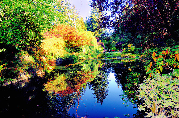 BUT_4748