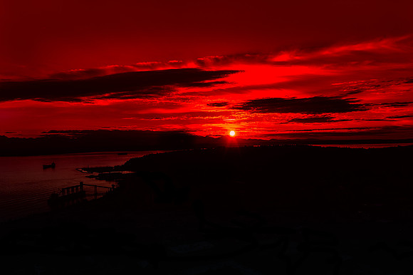 SEA_8116-T