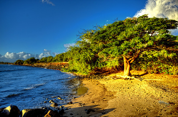 MAU_8683_4_5_6_7_tonemapped
