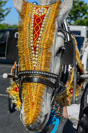 NJP_2836