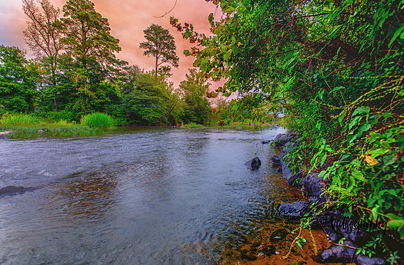 BON_4729_30_31_32_33_34_35HD-T