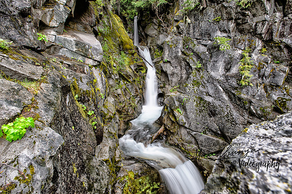 Christine Falls_8411-T