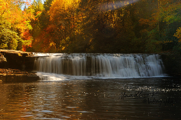 Hooker Falls, Dupont Forest, NC_483