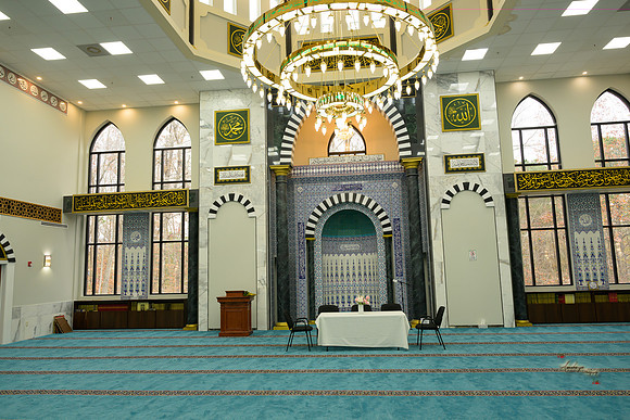 AAMI0212231