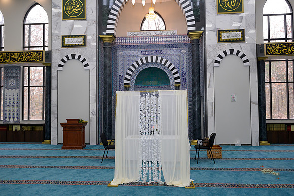 AAMI0212233
