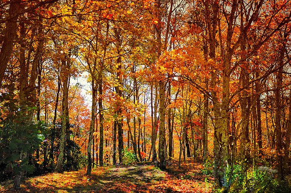 Blue Ridge Parkway, NC